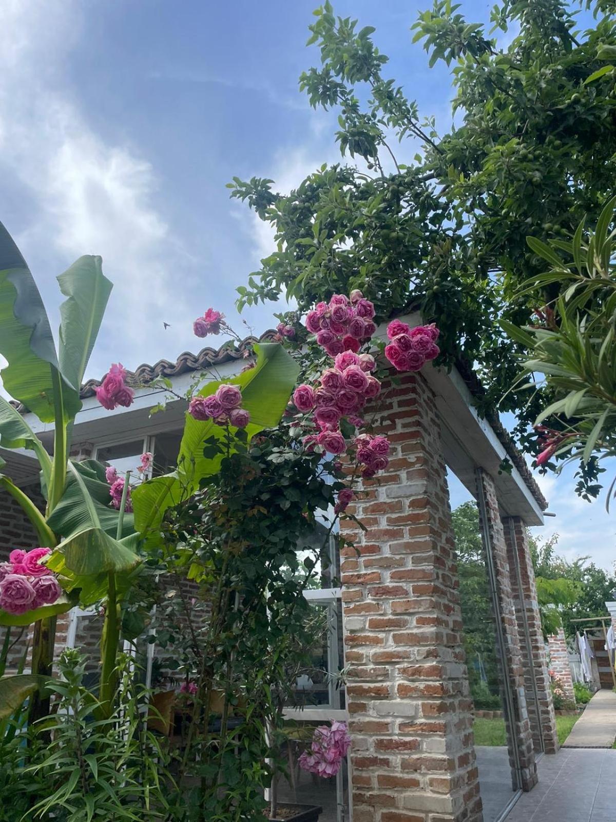 Casa Mediterana Două Mai Exterior foto